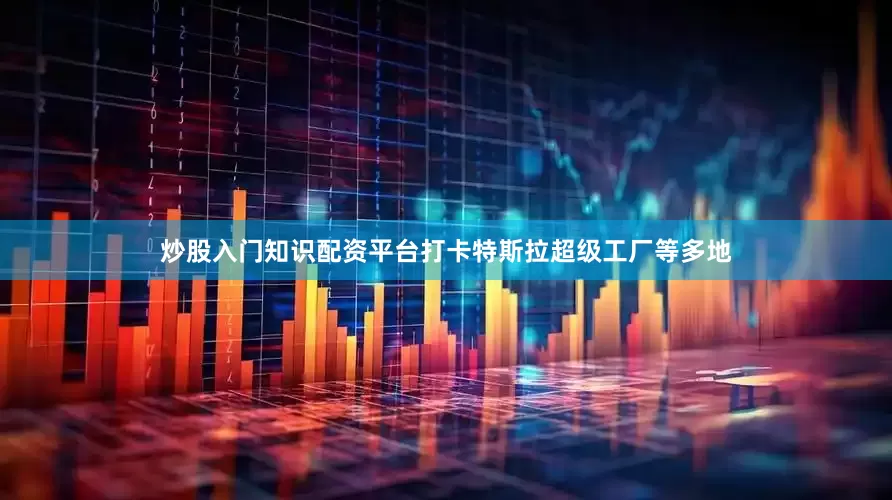 炒股入门知识配资平台打卡特斯拉超级工厂等多地