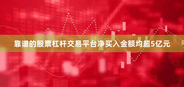 靠谱的股票杠杆交易平台净买入金额均超5亿元