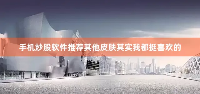 手机炒股软件推荐其他皮肤其实我都挺喜欢的