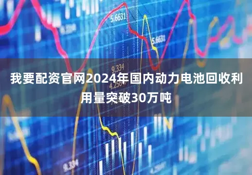我要配资官网2024年国内动力电池回收利用量突破30万吨